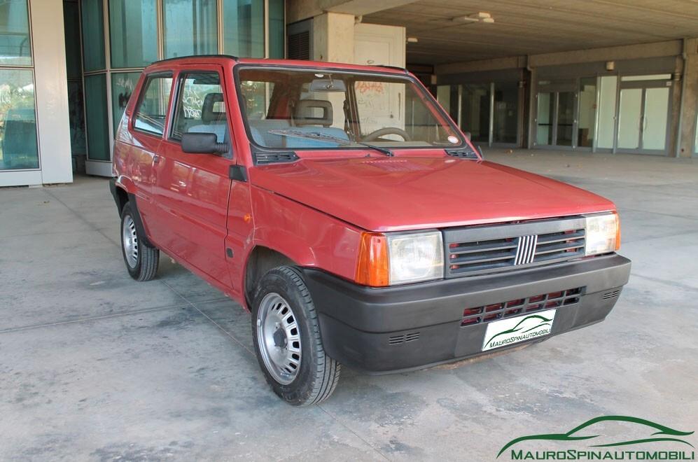 Fiat Panda 1100 i.e. cat Young