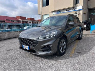 FORD Kuga 2.0 ecoblue ST-Line X 2wd 120cv auto del 2023