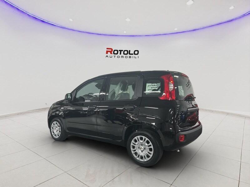 FIAT Pandina Pandina 1.0 FireFly 65 CV Hybrid Icon
