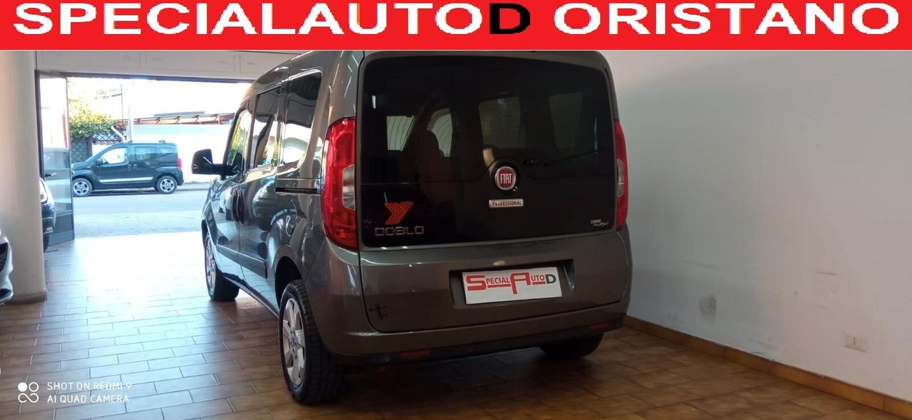 Fiat Doblo 2.0 PROFESSIONAL