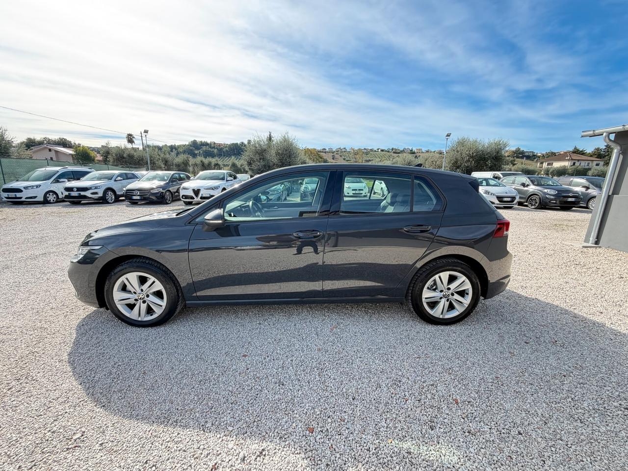 Volkswagen Golf VIII 2.0 TDI 115 cv manuale 64.120 km