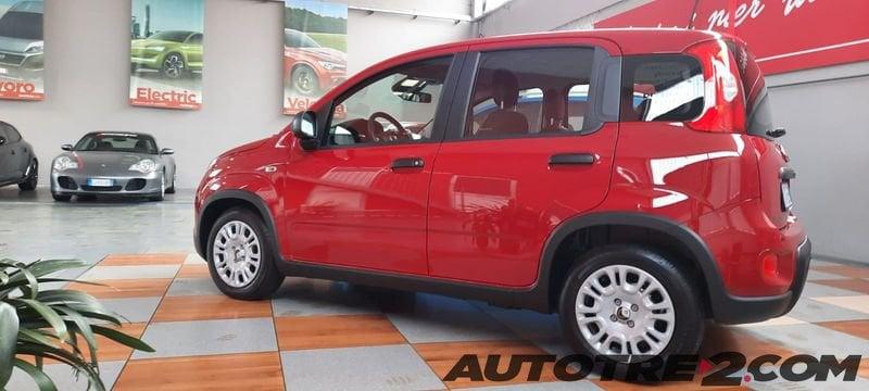 FIAT Panda Panda 1.0 FireFly S&S Hybrid Pop PANDINA DA € 9950 ANCHE A MAGGIO !!!
