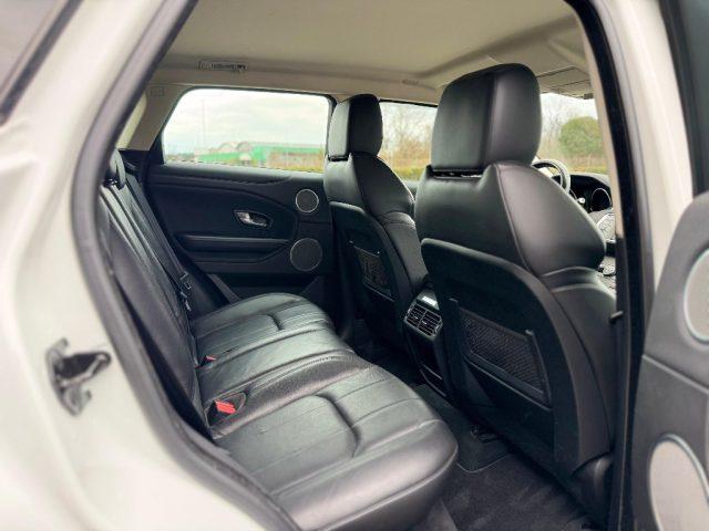 LAND ROVER Range Rover Evoque 2.0 TD4 150 CV 5P BUSINESS *TAGLIANDATO*