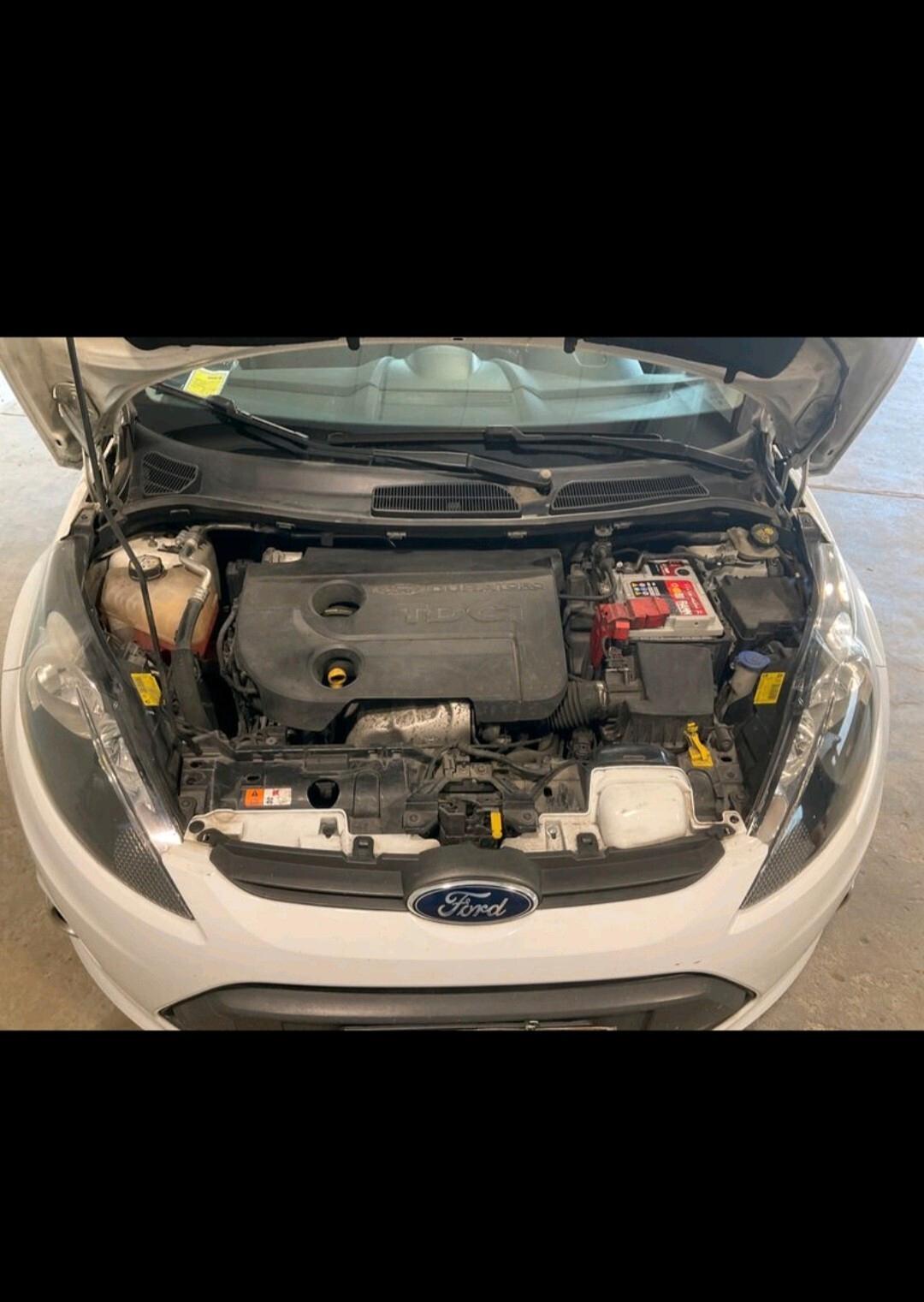 Ford Fiesta 1.4 TDCi 70CV 5 porte Titanium 2013