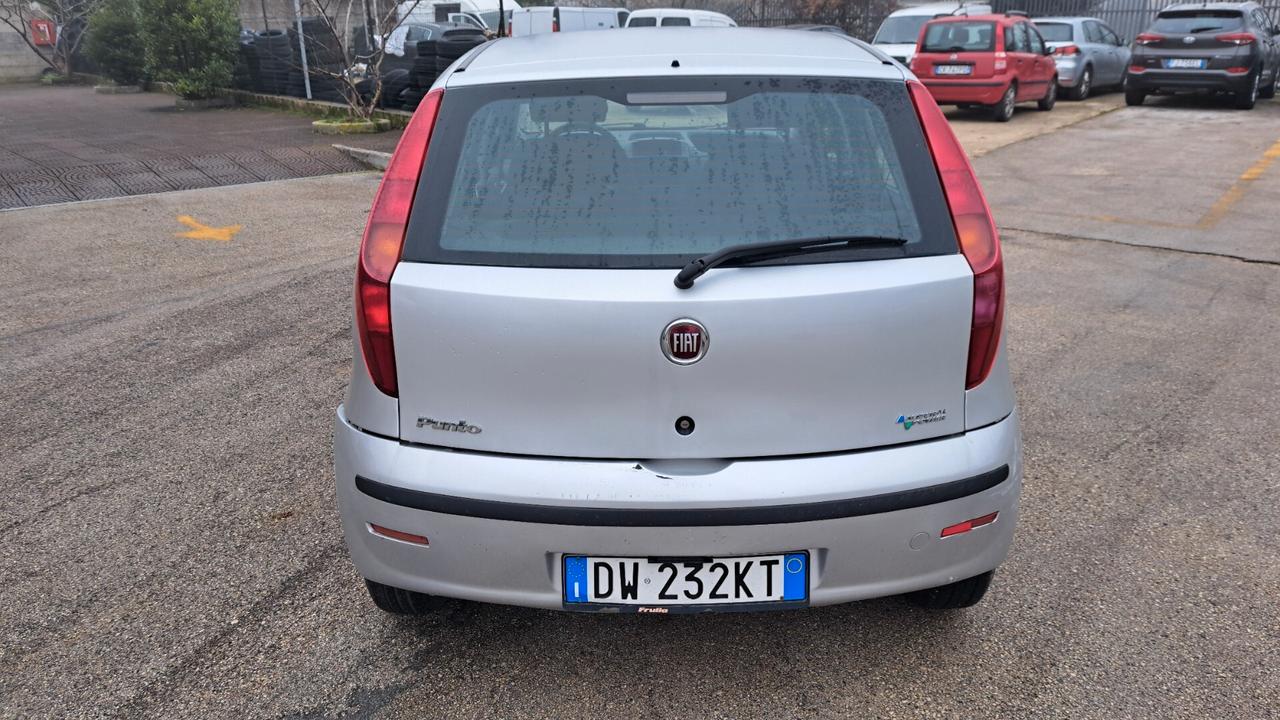 Fiat Punto Classic 1.2 5 porte Natural Power Active