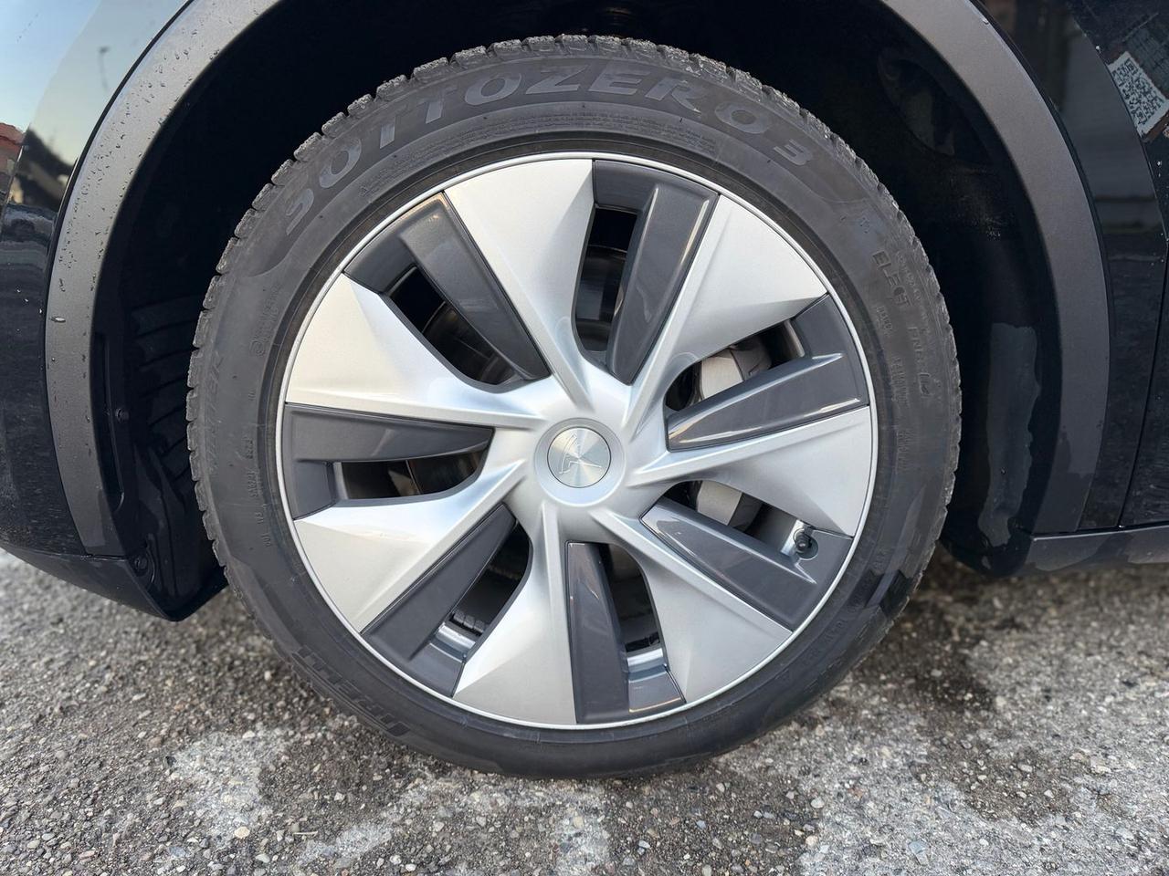 Tesla Model Y Maximum Range / Premium #9286