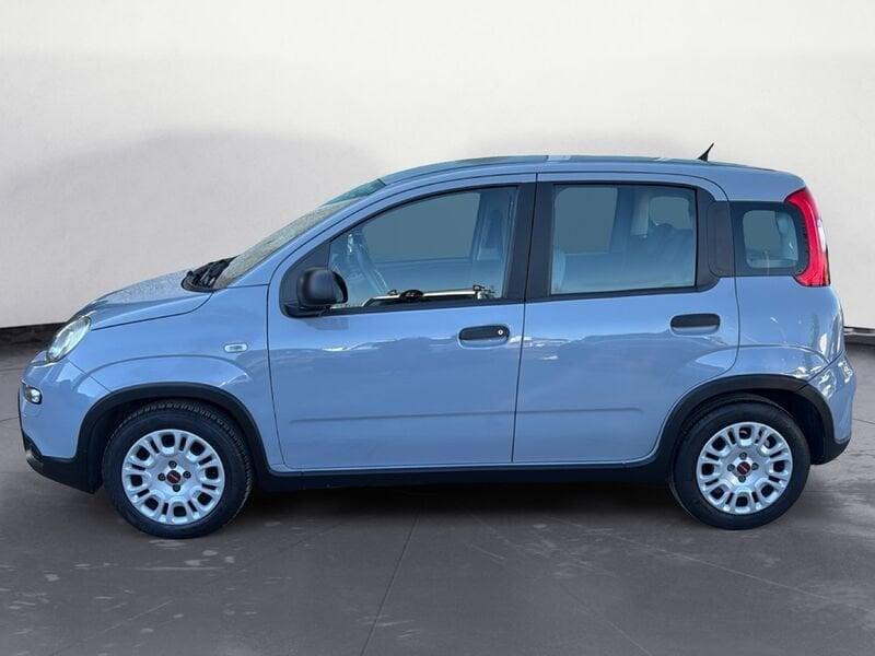 FIAT Panda 1.0 FireFly 70cv S&S Hybrid