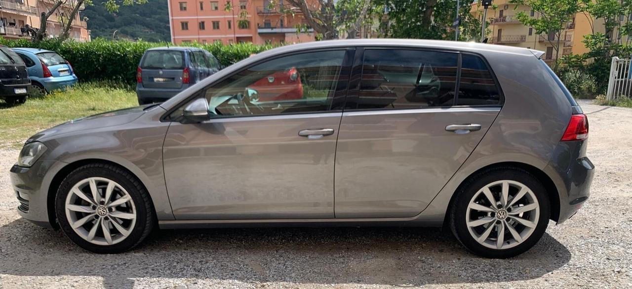 Volkswagen Golf Business 1.6 TDI 5p. Highline BlueMotion Technology