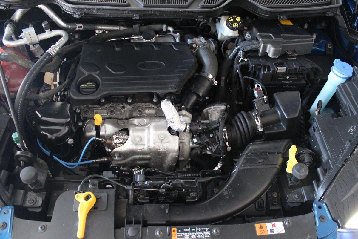 FORD - EcoSport - 1.5 TDCi 100 CV S&S Business