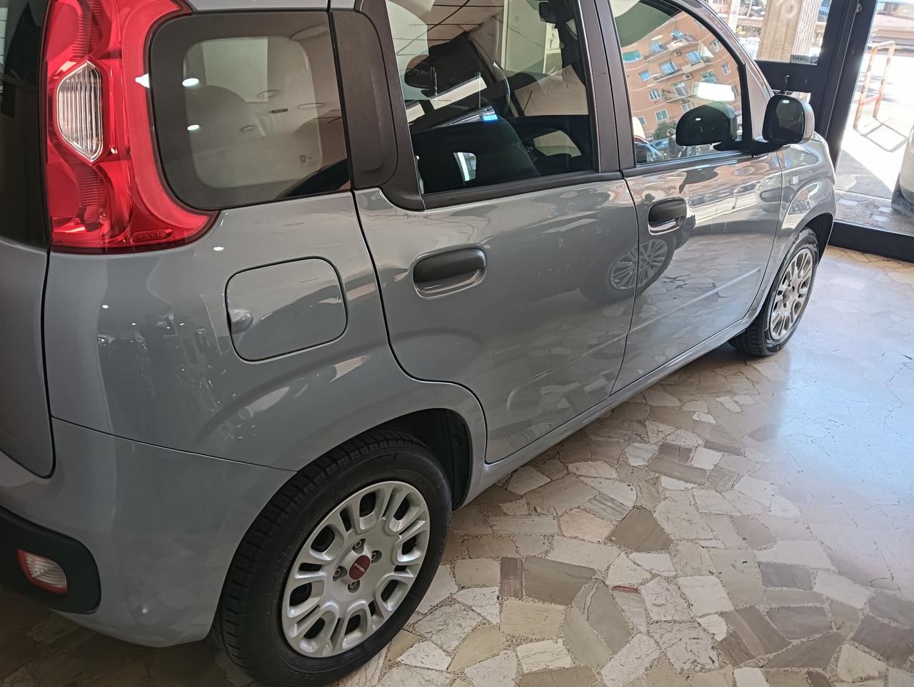 Fiat Panda 1.2 Pop