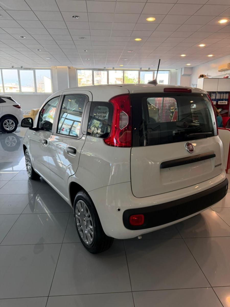 FIAT - Panda - 1.0 FireFly S&S Hybrid Pandina