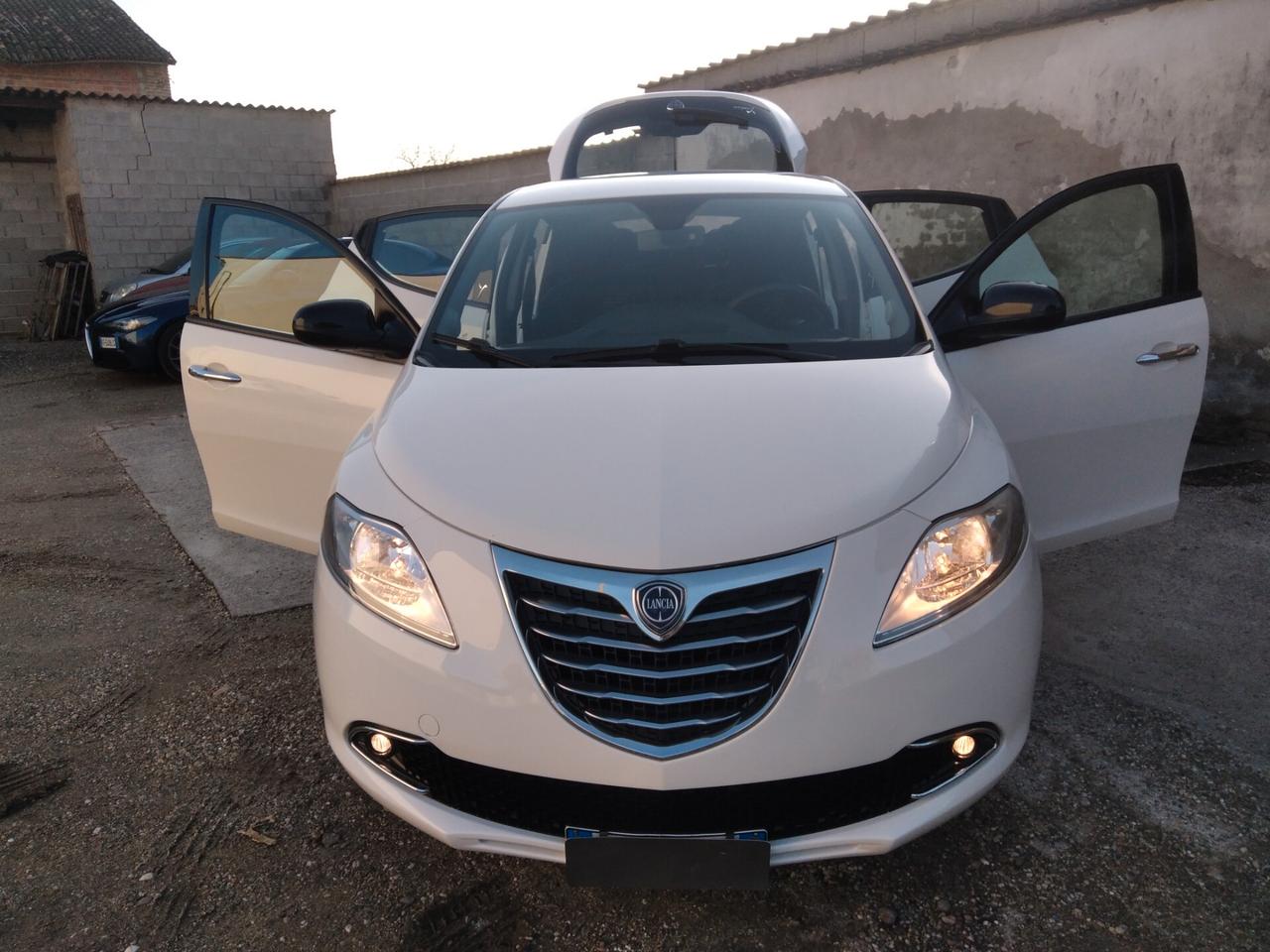 Lancia Ypsilon 1.2 69 CV 5 porte S&S Platinum x neopatentati