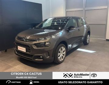 Citroën C4 Cactus BlueHDi 100 S&S Feel