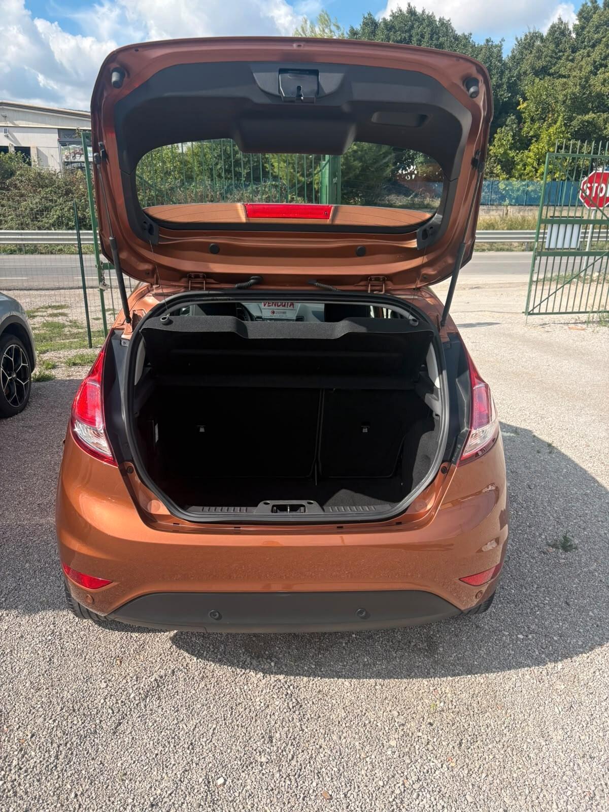 Ford Fiesta 1.0 EcoBoost 100CV 5 porte Powershift Titanium