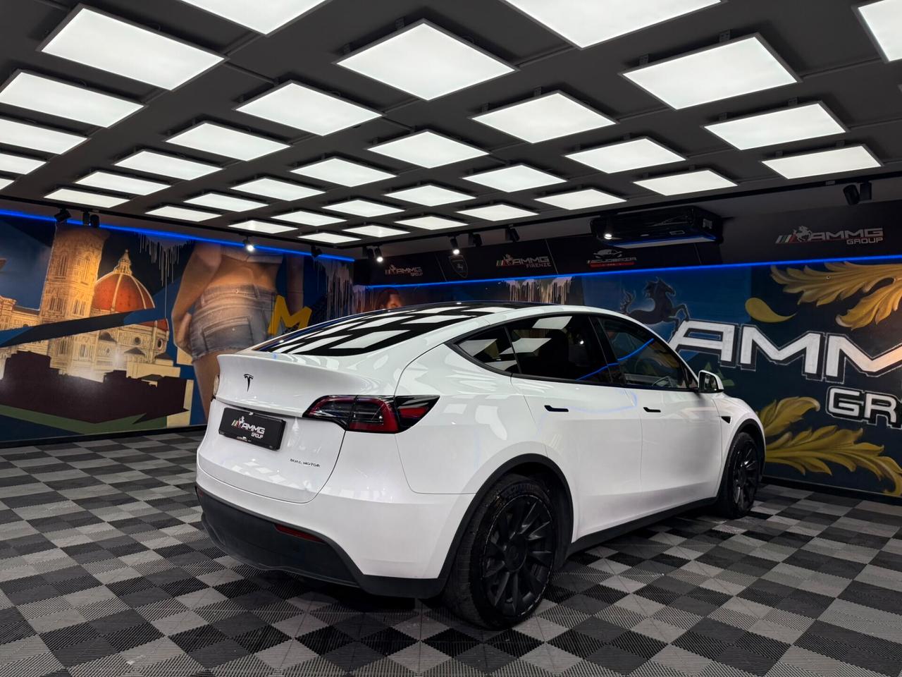 Tesla Model Y Long Range AWD (892)