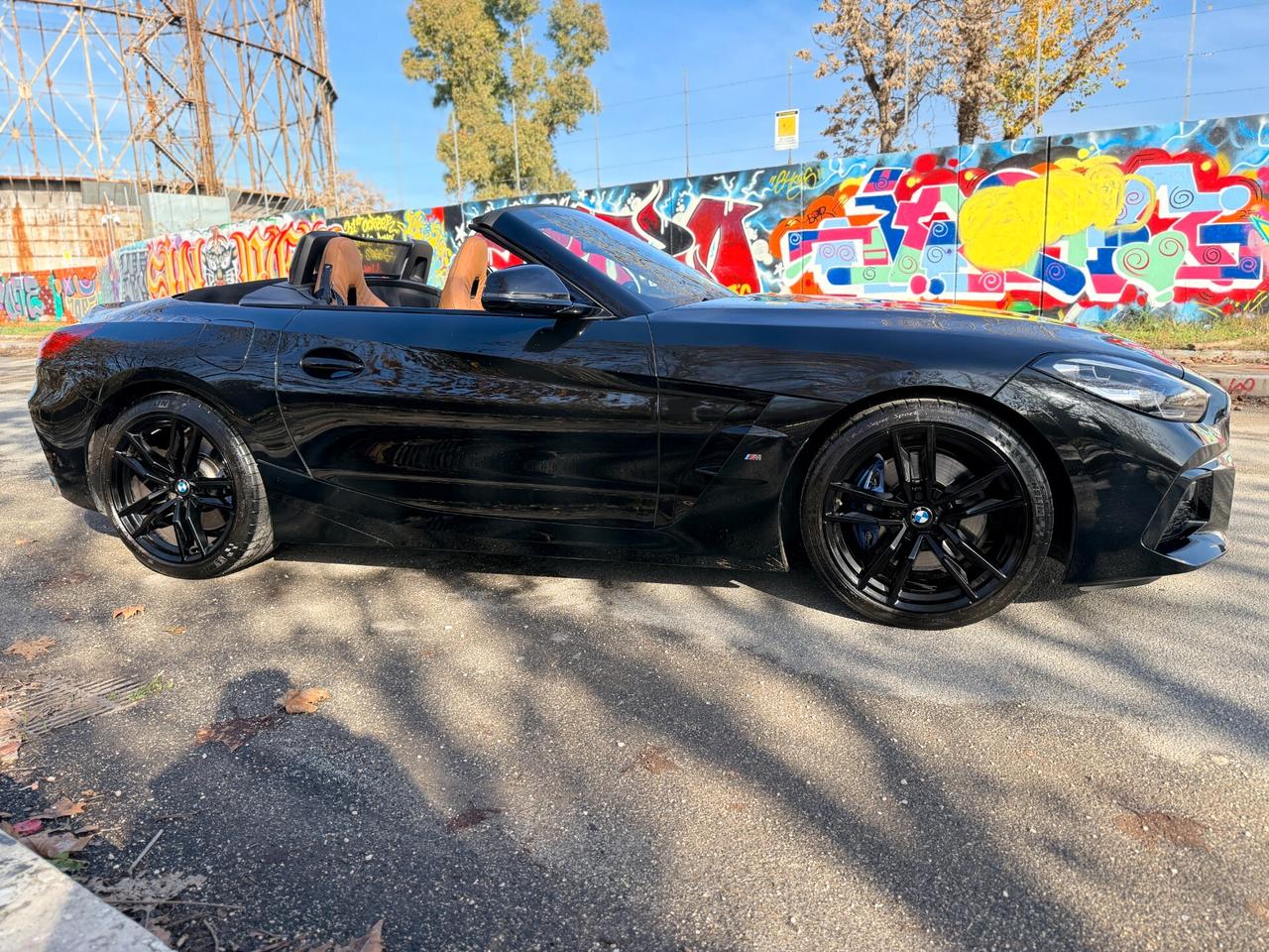 Bmw Z4 30i 258cv Msport Tagliandi BMW