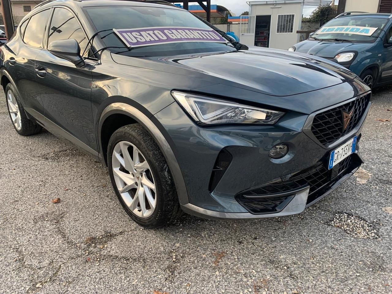 Cupra Formentor 2.0 TDI 4Drive DSG