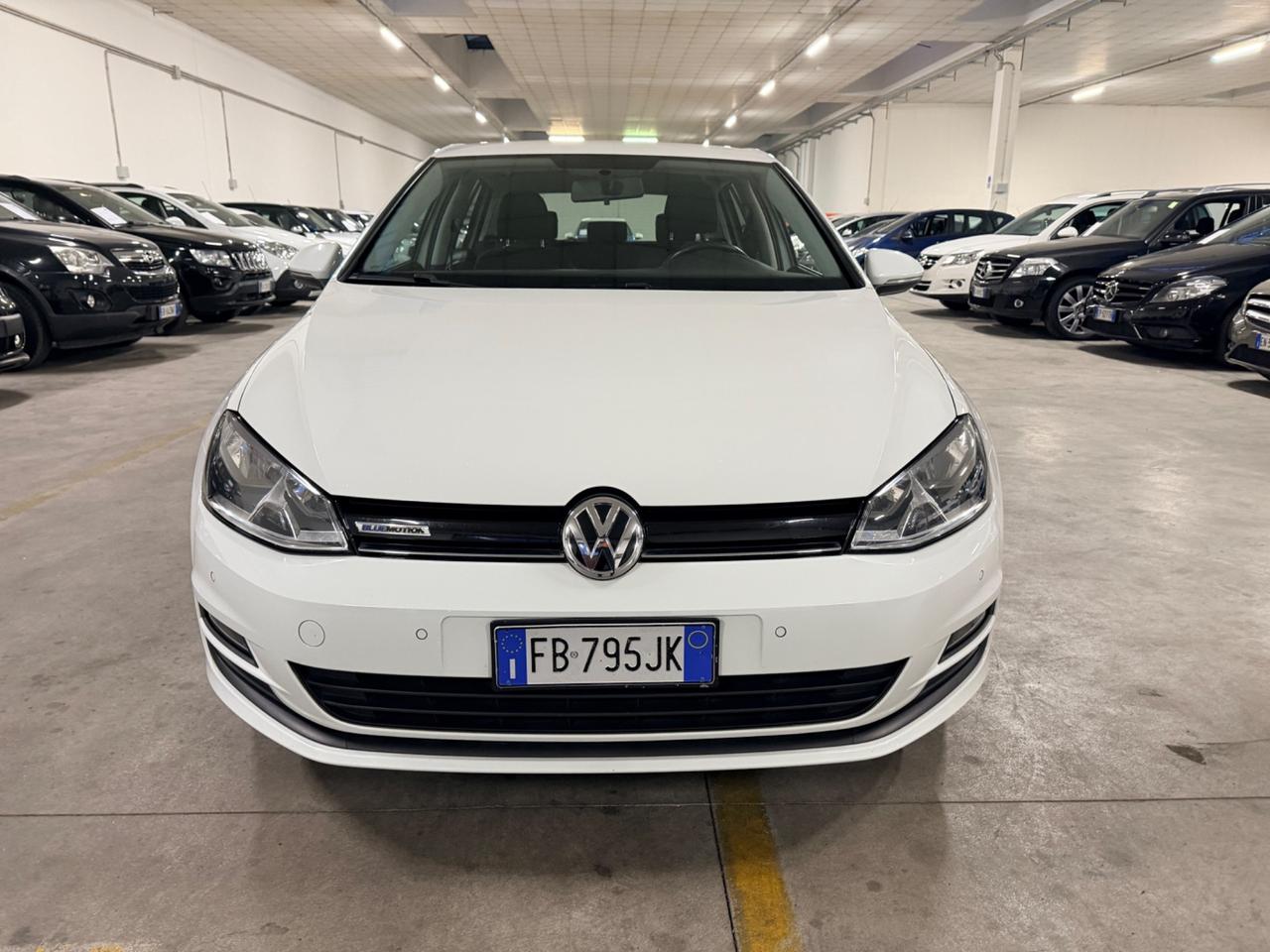 Volkswagen Golf 1.4 TGI DSG 5p. Executive BlueMotion