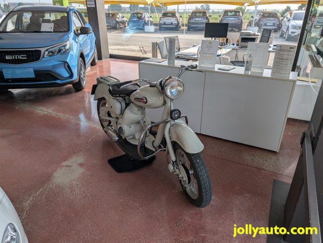 MOTOM Dolcevita 160 DELFINO