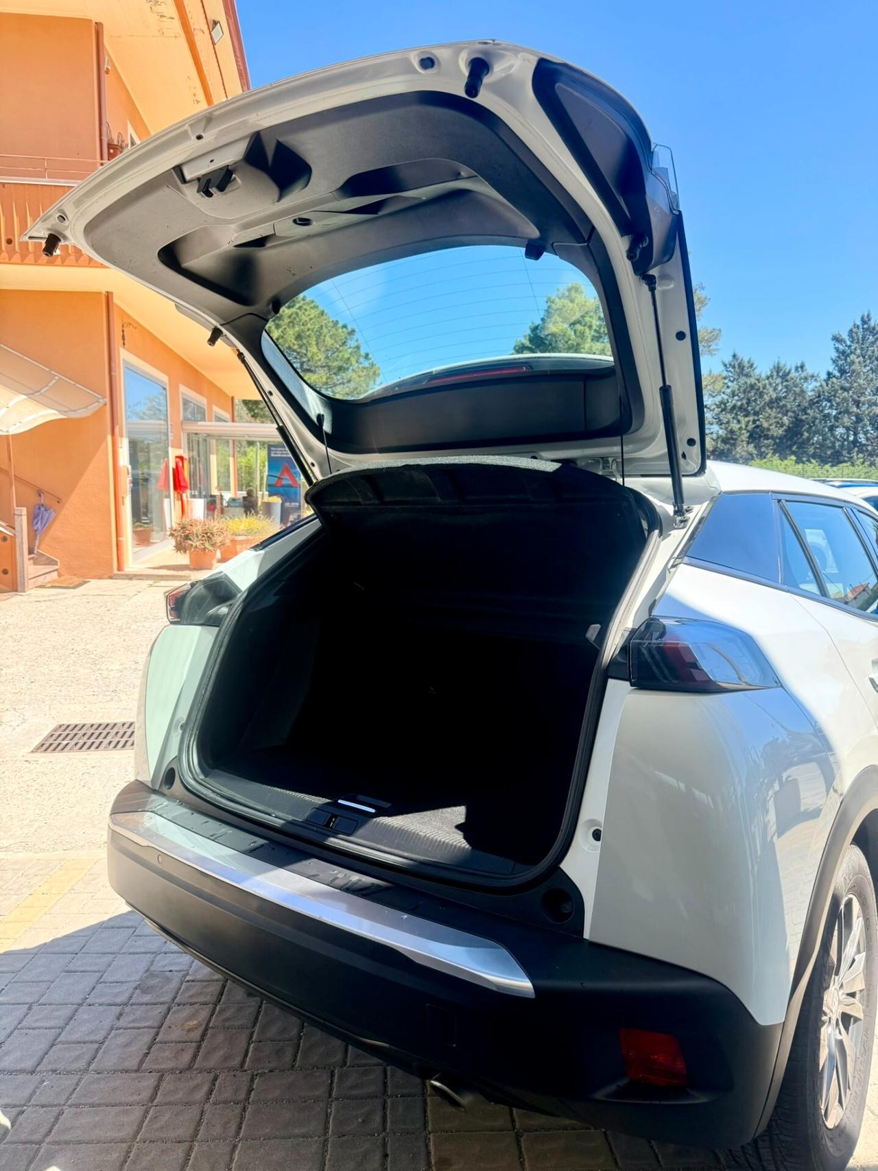 Peugeot 2008 BlueHDi 110 S&S Active Pack imm. 04/2022