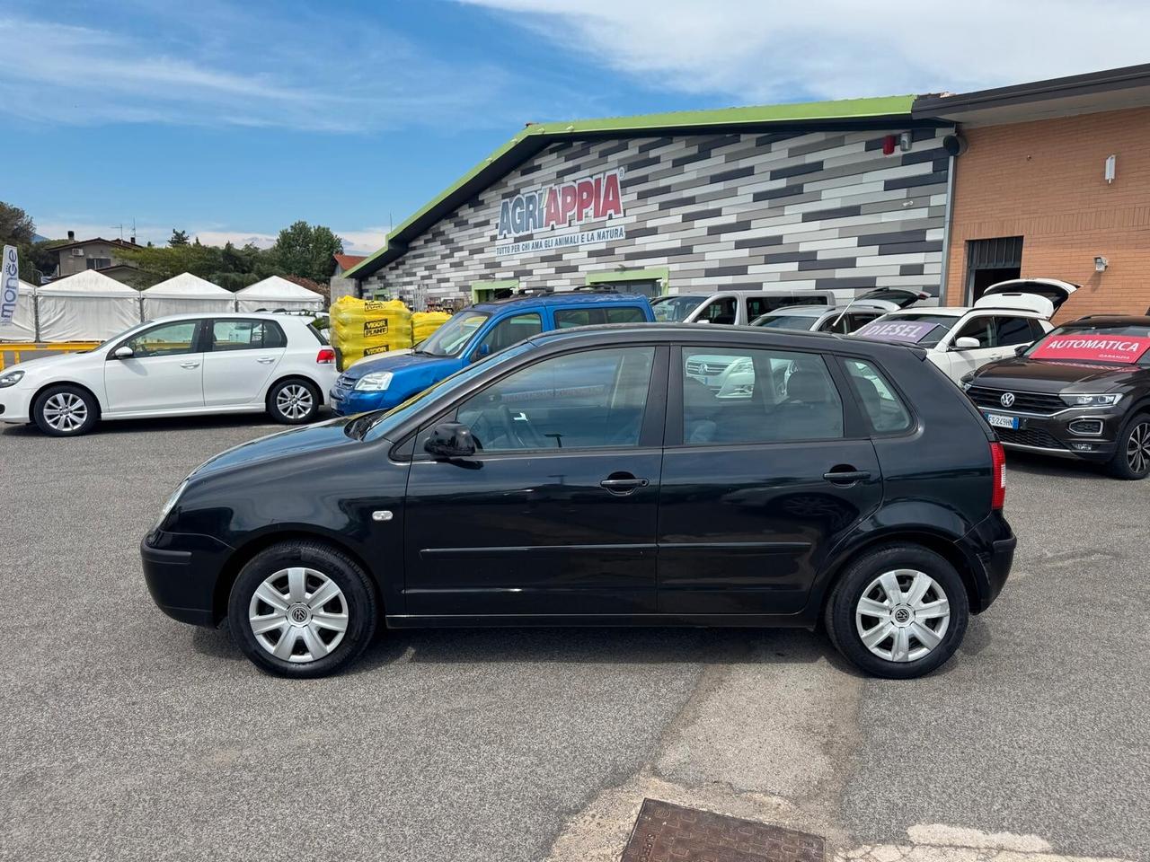 Volkswagen Polo 1.2 BENZ 5P KM 89000 - 2003