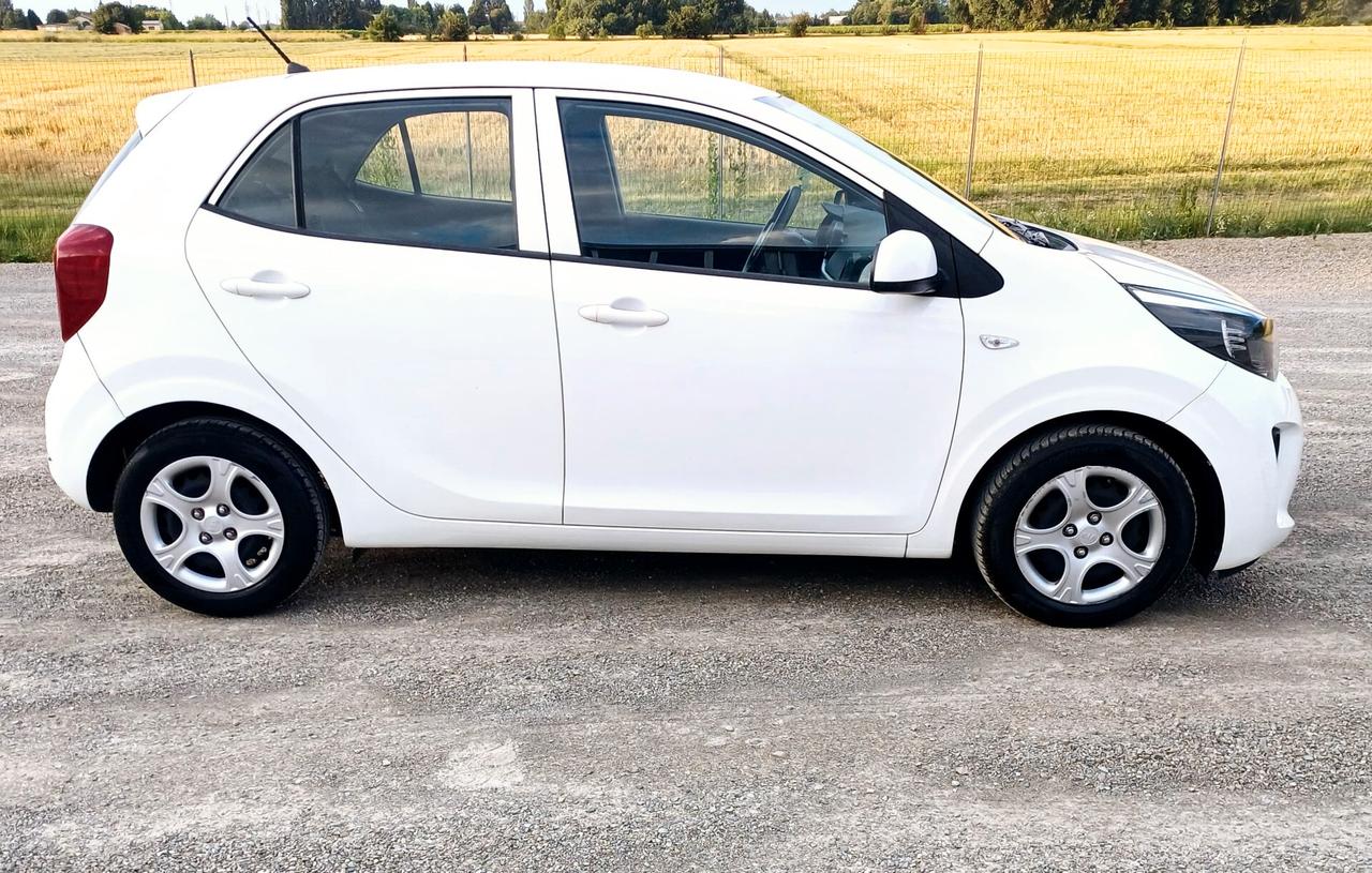 Kia Picanto 1.0 12V 5 porte GT Line