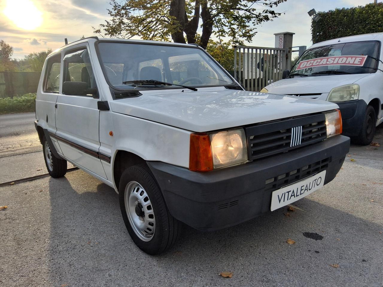 Fiat Panda 900 i.e. cat Young