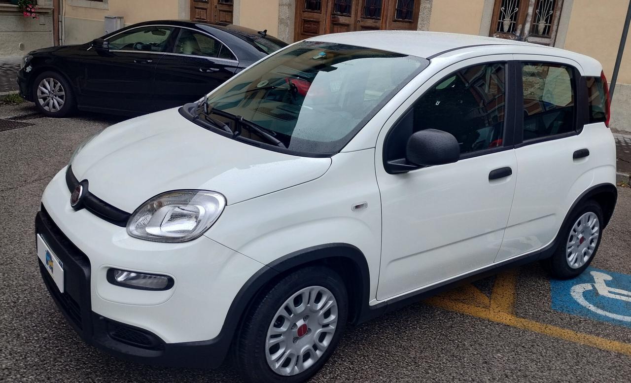 Fiat Panda 1.0 FireFly S&S Hybrid NEOPATENTATI