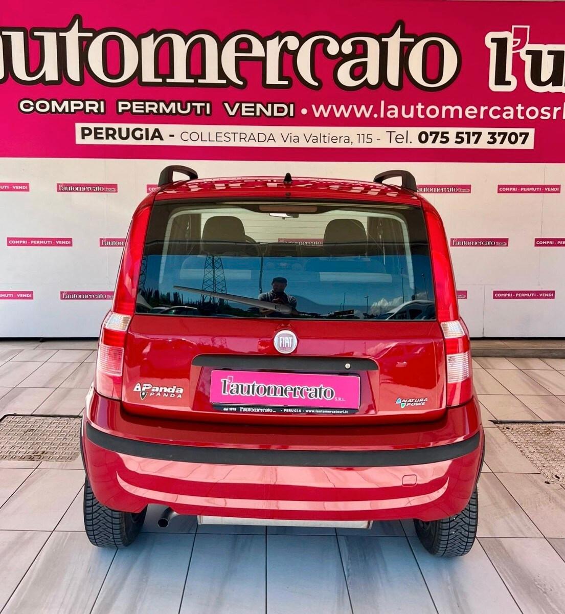 FIAT Panda 2ª serie Panda 1.2 Dynamic Natural ...