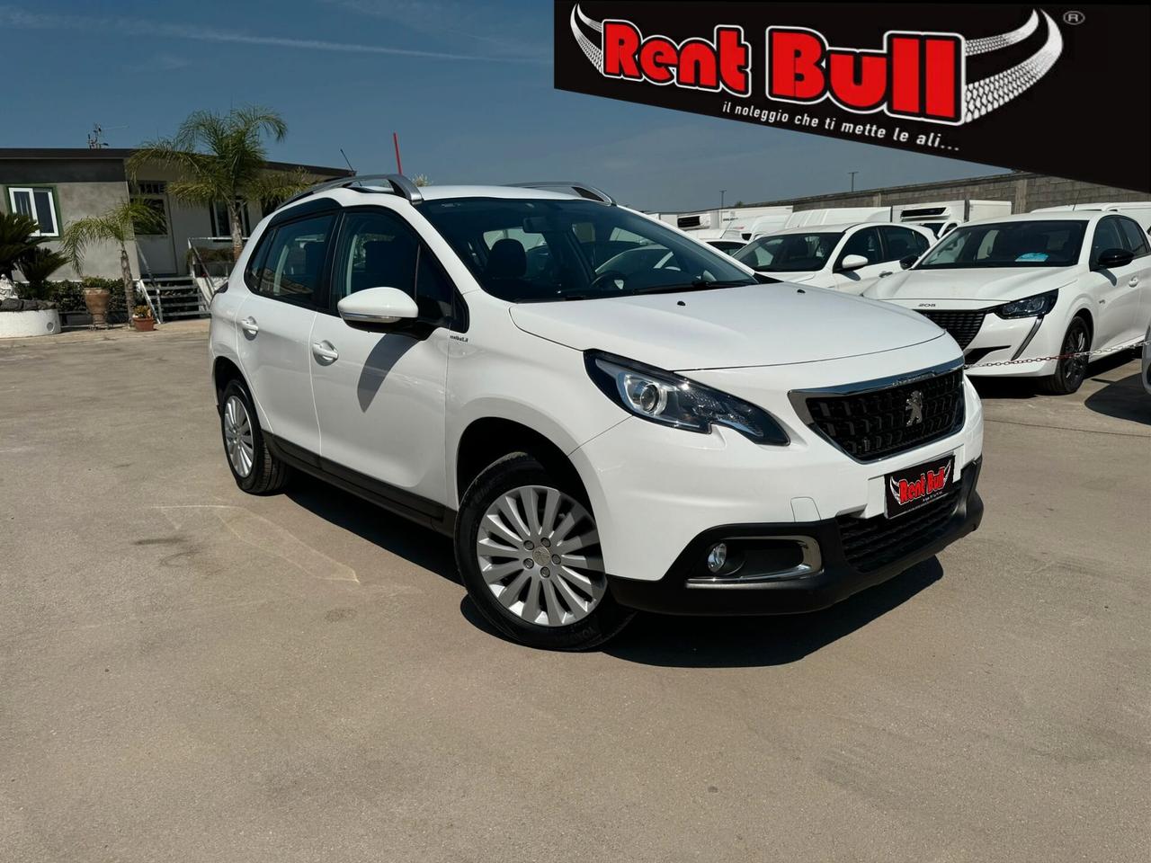 Peugeot 2008 1.6 75 CV. ALLURE BLUEHDI RIF:4624