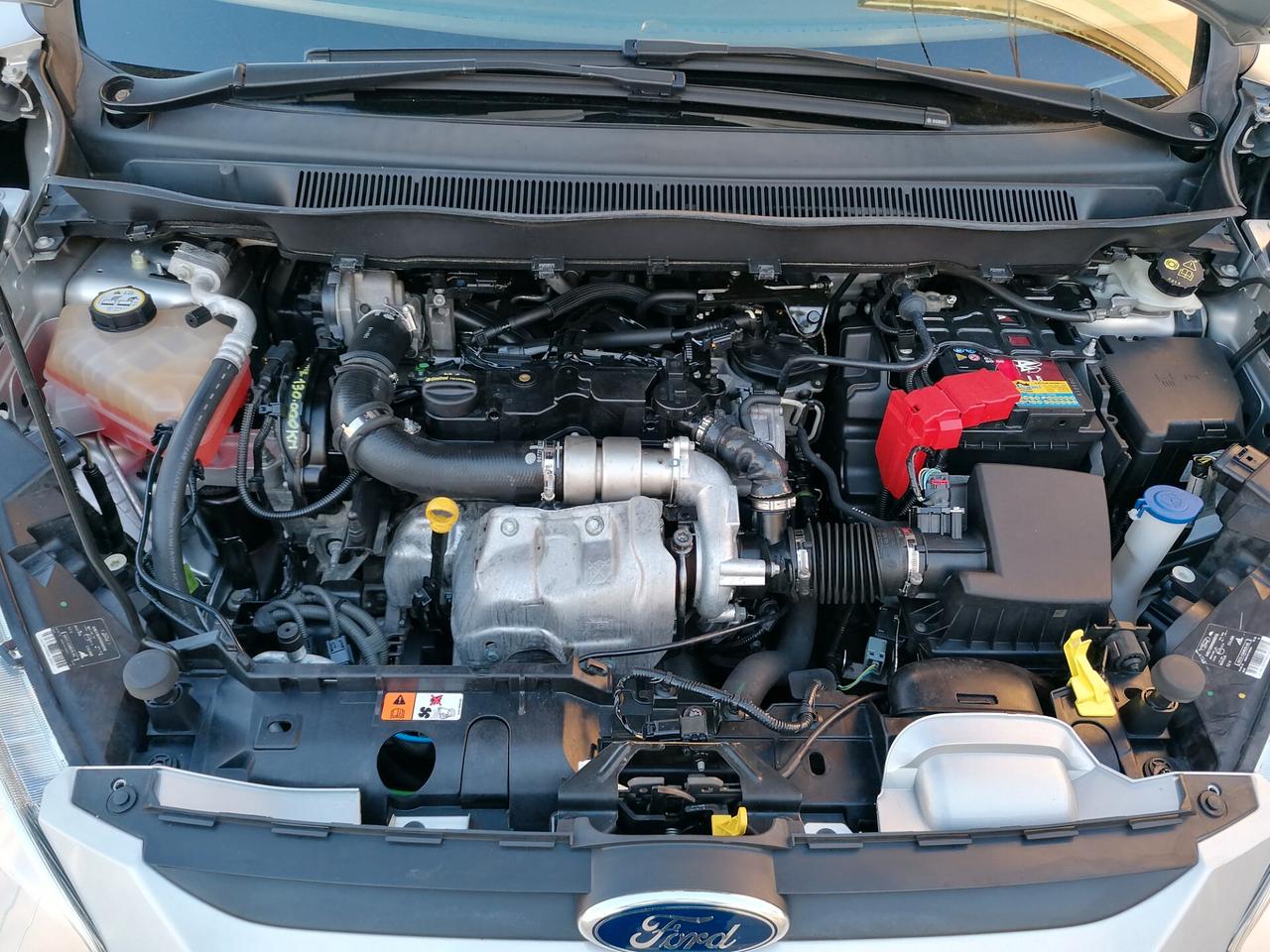 Ford B-Max 1.5 TDCi 75 CV Business