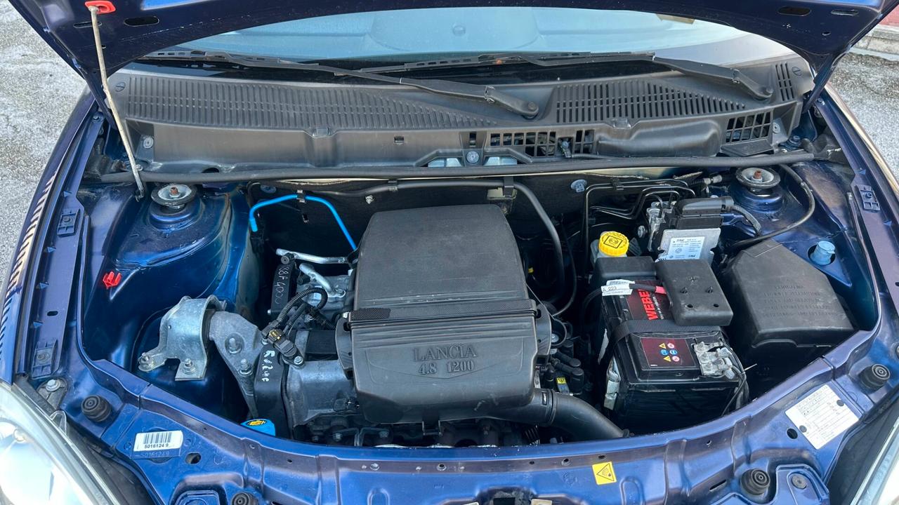 Lancia Ypsilon 1.2 New Oro