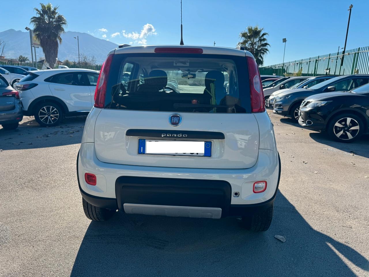 Fiat Panda 4X4 ELD