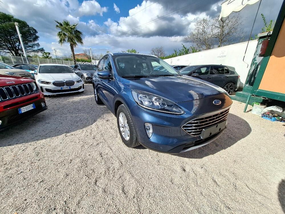 Ford Kuga 2.0 EcoBlue Hybrid 150 CV 2WD Titanium Business