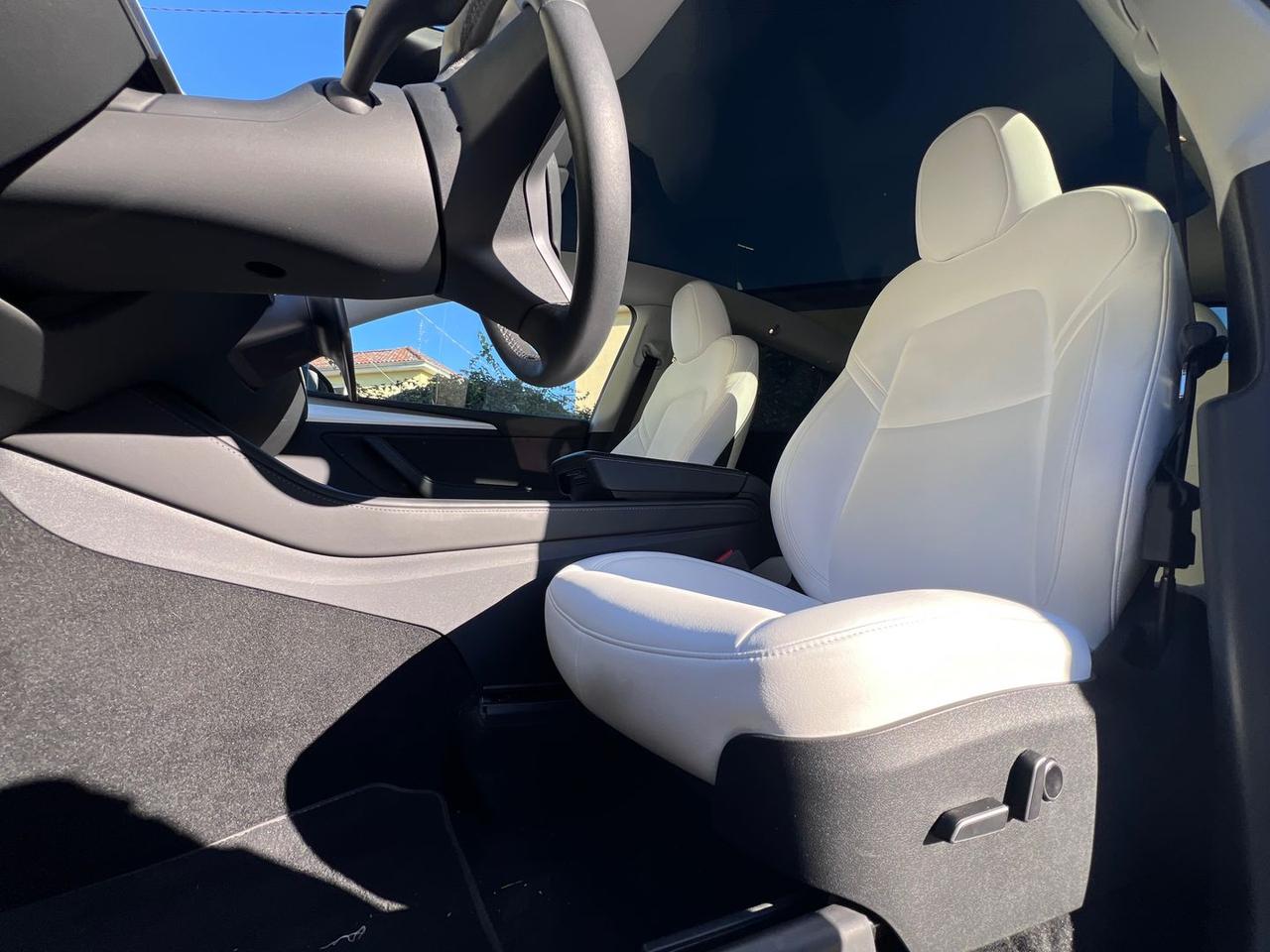 Tesla Model Y Performance #8327