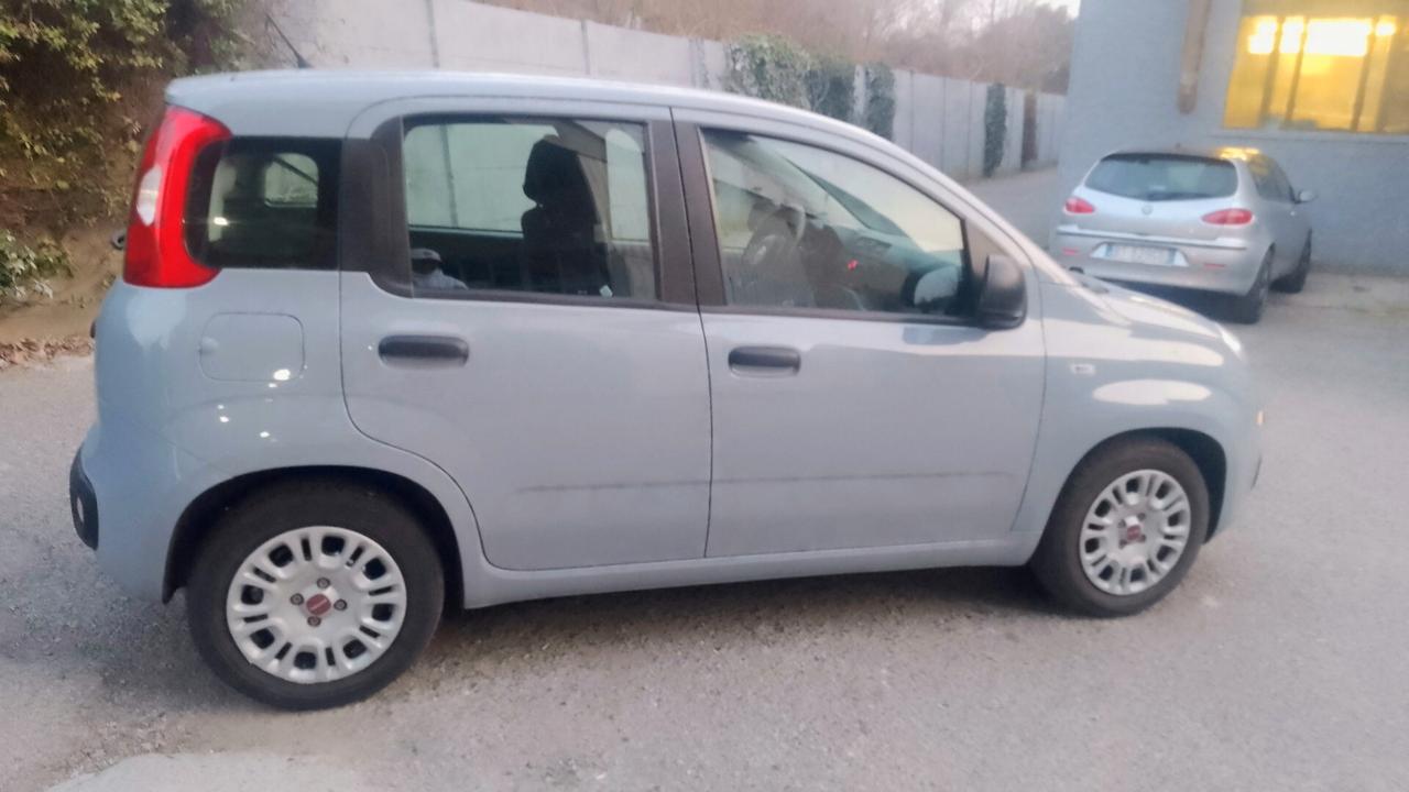 Fiat Panda 1.0 FireFly S&S Hybrid 2022 neopatentati