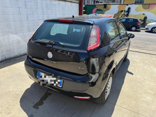 FIAT Punto Evo 1.2 5 porte S&S Dynamic