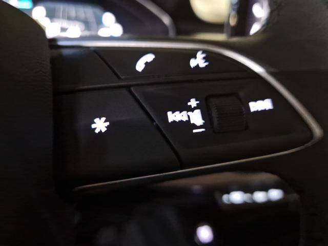AUDI A4 AVANT 35 TDI CV.163 ELETT/DIESEL PELLE+TETTO+18'