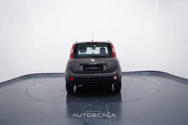 FIAT New Panda 1.0 FireFly City Life S&S Hybrid