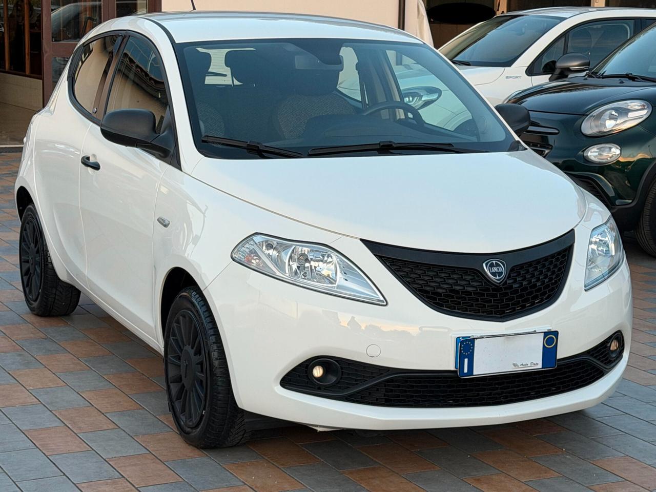 Lancia Ypsilon 1.2 69 cv. ELEFANTINO BLU