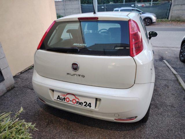 FIAT Punto 1.2 8V 5 porte Street NEOPATENTATI