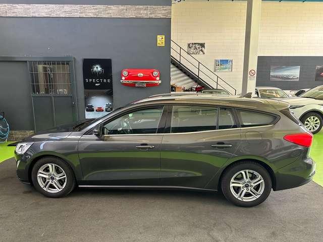 Ford Focus SW 1.5 ecoblue Business NEW MODEL 2019