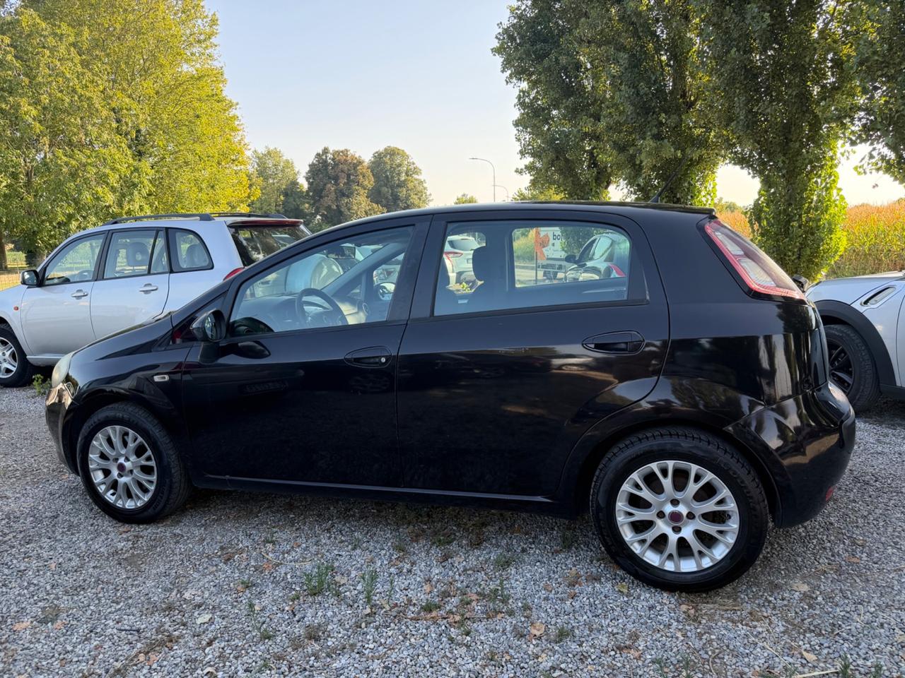 Fiat Punto Evo 1.3 Mjt 95 CV DPF 5 porte S&S Emotion