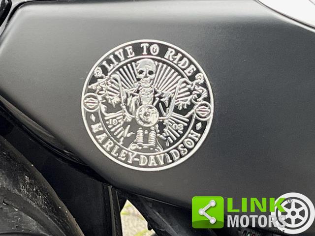 HARLEY-DAVIDSON 883 Sportster XL Iron