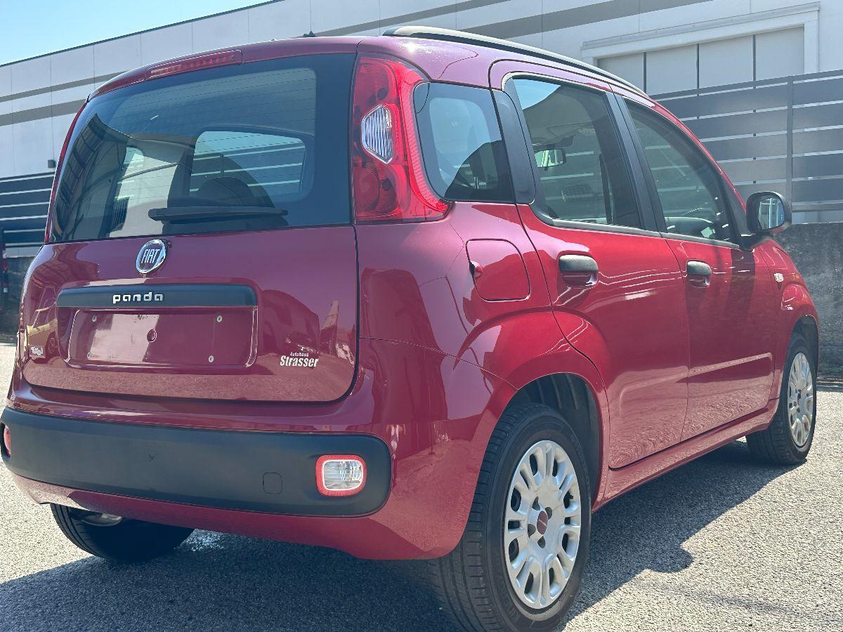 FIAT - Panda - 1.2 Lounge