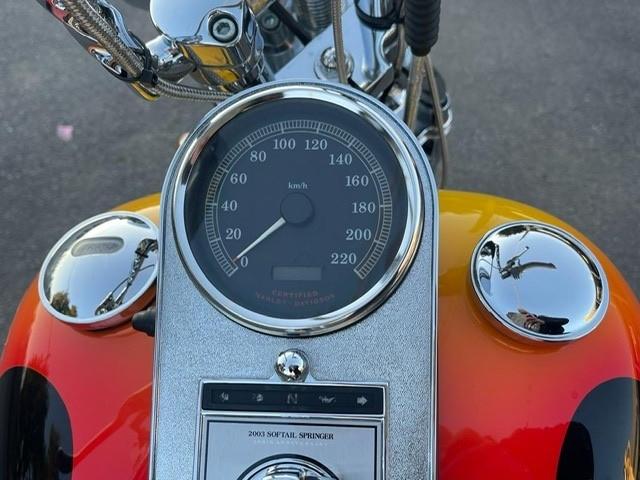 Harley-davidson 1450 Softail Springer Centenario fxsts