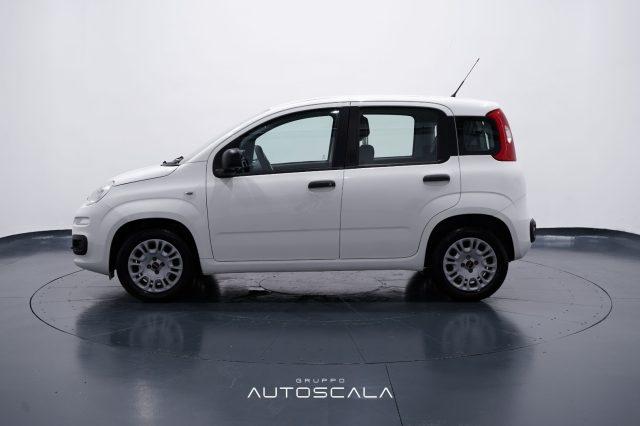 FIAT New Panda 1.2 Easy 4 posti N1 Autocarro della casa