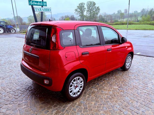 FIAT New Panda UNIPRO - KM 50.000 - NO OBBLIGO FINANZIAMENTO
