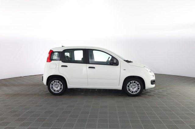 FIAT Panda Pandina 1.0 FireFly 65 CV Hybrid Icon