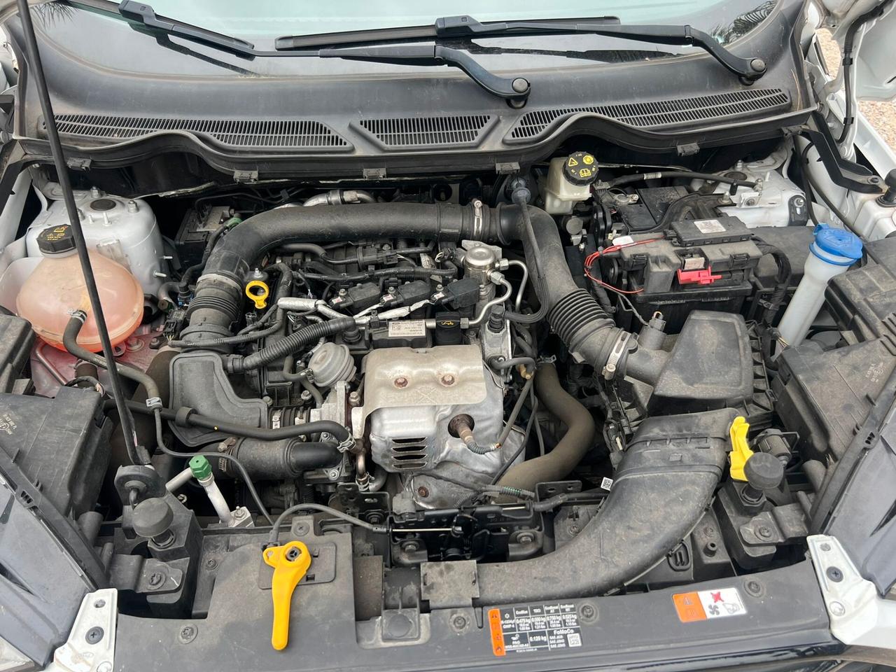 Ford EcoSport 1.0 EcoBoost 100 CV ST-Line Black Edition